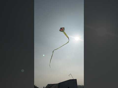 Snake Kite Makar Sankranti #devkeshorts #makarsankranti