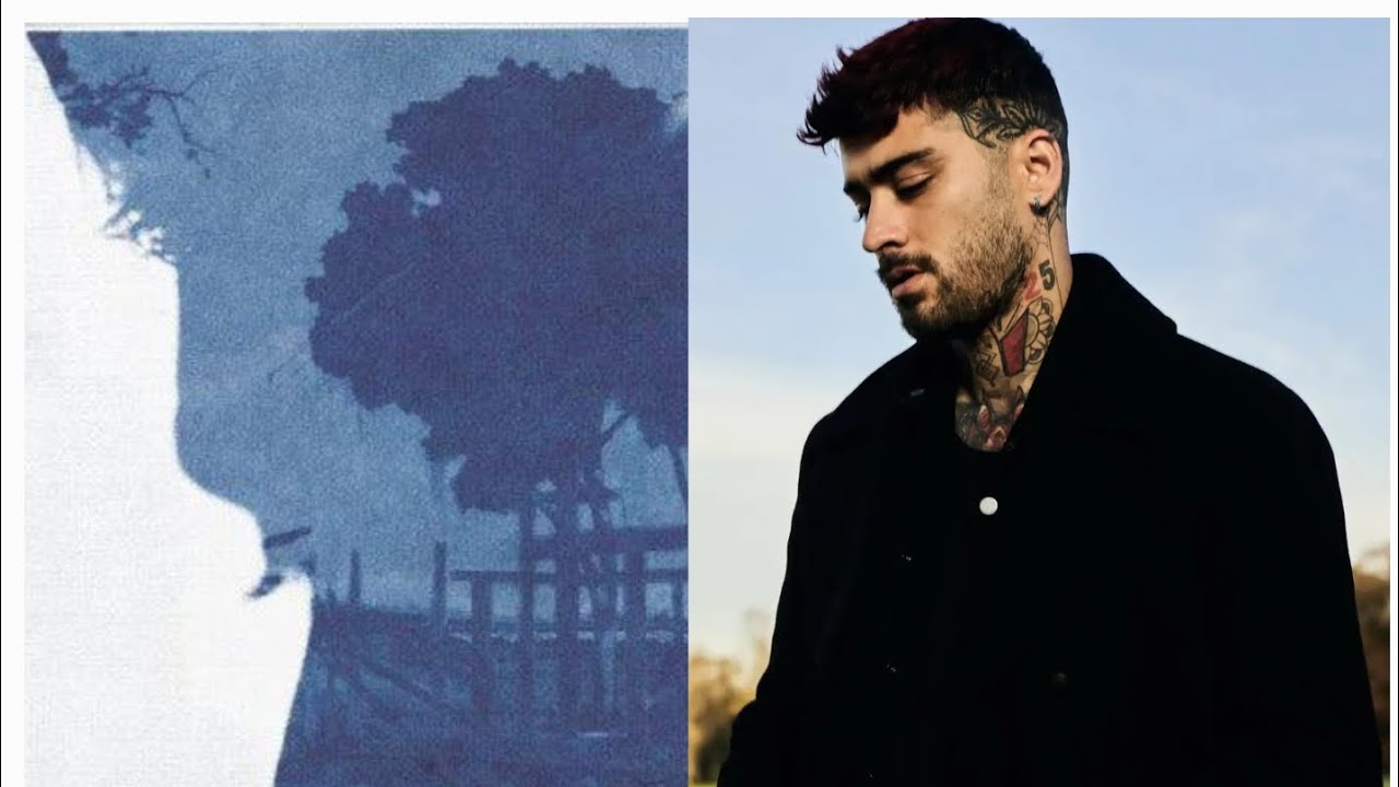 Zayn could have kept this album! It was boring ASF💯 #zayn #zaynmalik #taylorswift #harrystyles #pop