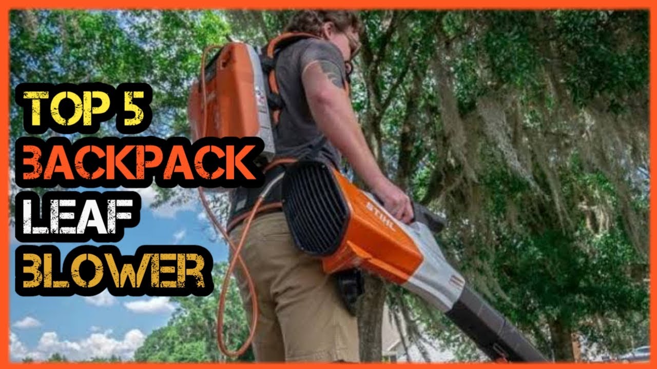 Top 5 Leaf Blower Best Backpack Leaf Blower YouTube