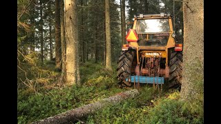 Savotta-Kauden Aloitus 2021-2022 Aluspuiden Juonto Valmetilla