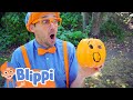 Blippi Visits the Pumpkin Park - Halloween! Learning Videos For Kids | Education Show For Toddlers