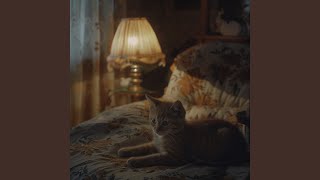 Whisker Wellness in Calm Loops
