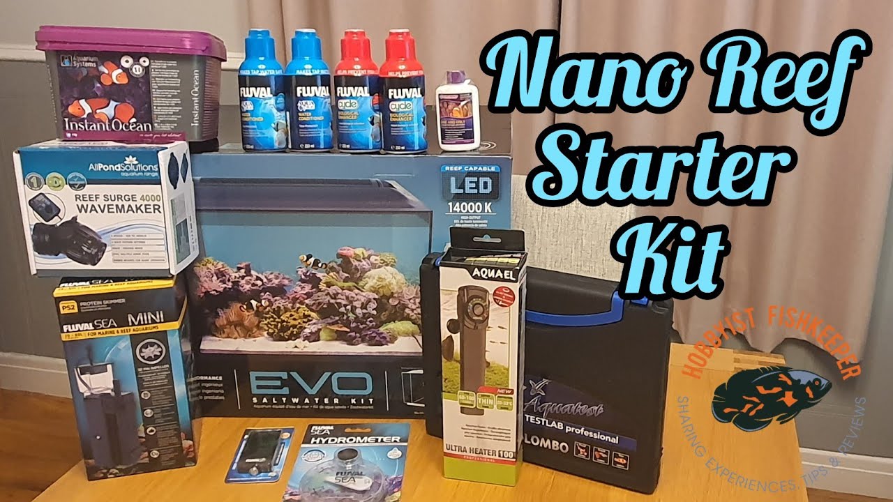 What do you need to start a saltwater aquarium? nano reef tank