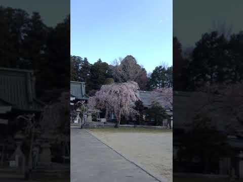 南相馬市小高区「相馬…