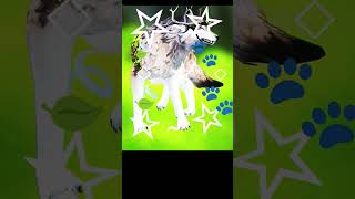 ☆Wildcraft edit☆ #wildcraft #wolf #game #games #wolves #animals #animals