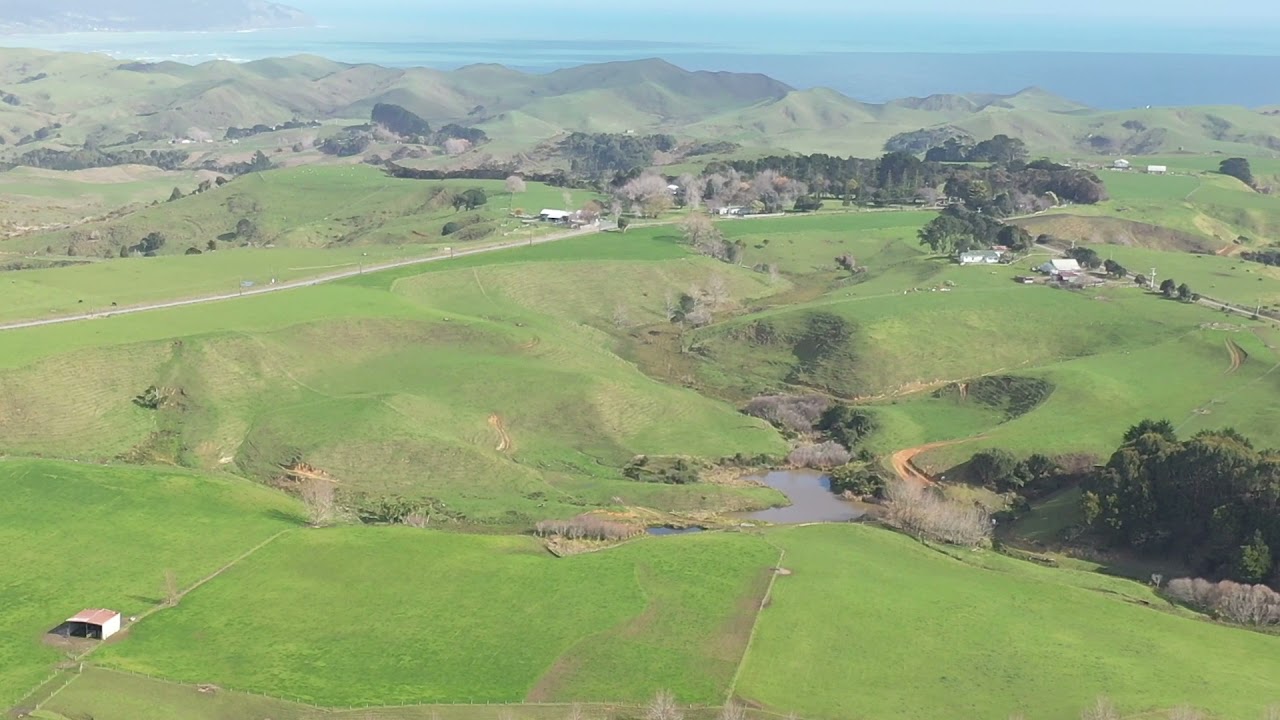 1129 Te Akau South Rd