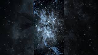 Time Dilation Voyage