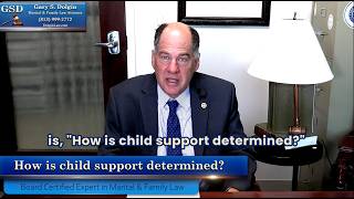 How is Child Support Determined In Florida - Child Support Attorney in Tampa Gary Dolgin Explains