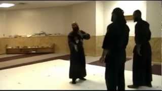 Ninjutsu Against double team attacks
