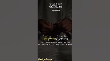سورة الزمر - ما تيسر منها - بصوت الشيخ ماهر المعيقلي | Surat Az-Zumar - Maher Al-Muaiqly
