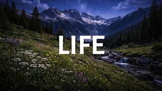 Calm nighttime music for sleep and life