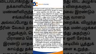 tamil story #tamil #motivation #தமிழ் #motivationstory #kuttistory #tamilstory #tamilnews #quotes