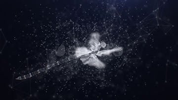 Plexus Dragonfly | Motion Graphics - Envato elements