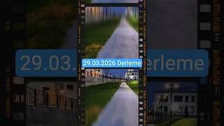 Iyi Seyirler Amacım Her Short Ta Daha Fazla Kitleye Hayvan Sevgisini Aşılamak6 Kedi Beslendi.