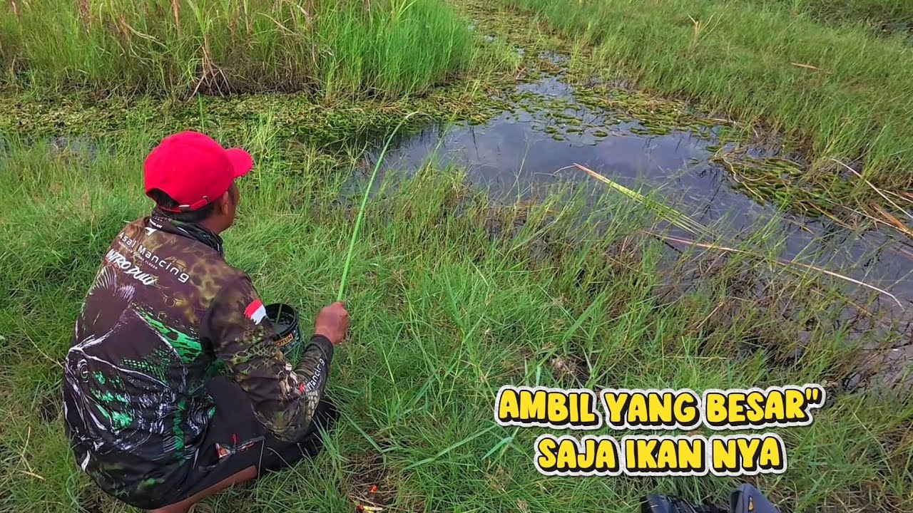 Lanjut Mancing ikan Babon Babon nya mas bro 