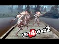 Left 4 dead 2 solo expert crazy witches death toll