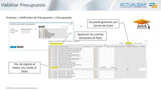 Seminario Online Gratuito  Presupuesto y manejo de flujo de Caja en SAP Business One