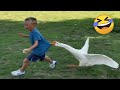 TRY NOT TO LAUGH 😆😆 Best Funny videos Compilation 😂😂😂 Memes Part 16