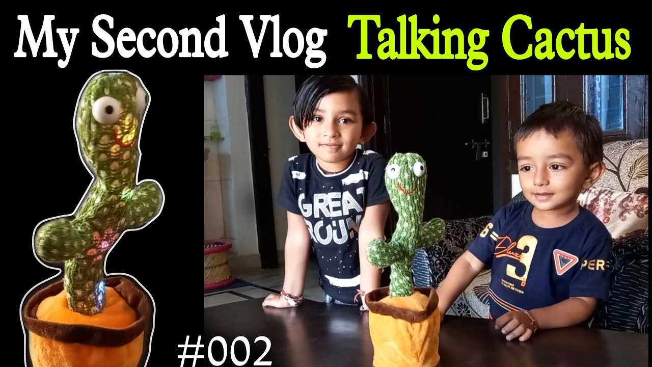 cactus vs baby talking cactus wiggly dancing cactus cacti care