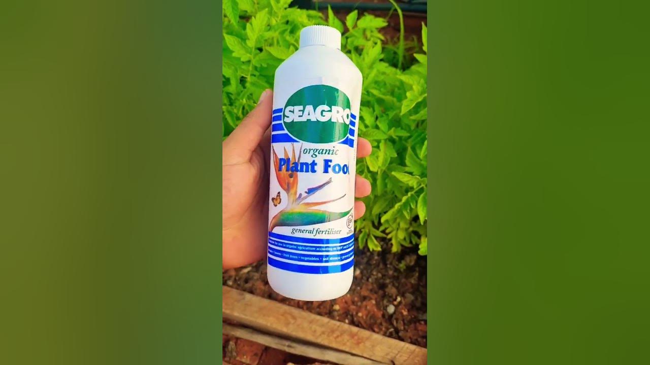 seagro-organic-plant-food-the-smell-tho-youtube