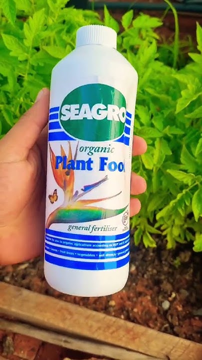 seagro-organic-plant-food-the-smell-tho-youtube