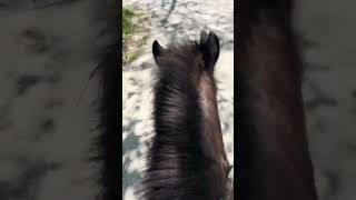 Ich habe einen Ausflug gemacht zu der Kindertagesstätte, wo ich arbeite ￼