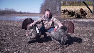 NDO Product Short -  DSD Turkey Decoys 2018