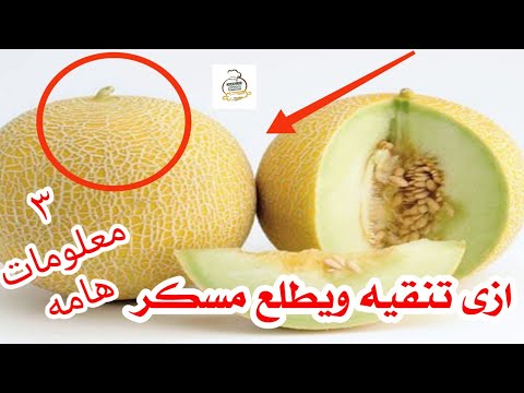 ازى تعرفى الكنتالوب حلو والا ماسخ قبل ماتشتريه ويطلع معاكى زى السكر الحلقه٣٠٢ مطبخشوق