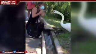 Bakan Koca Kuralları Bizden Daha Iyi Bilen Var