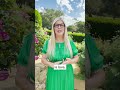 Laura Lynne Jackson does this every day to open herself up to receiving messages from the universe.