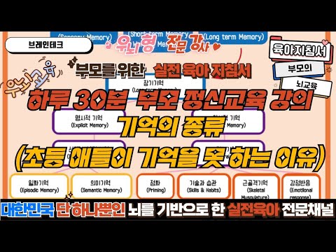 (<strong>해마</strong> 기저핵등) 애들이 초등가서 기억을 못하는 이유