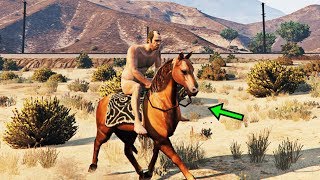 GTA 5 "Жылқы сатып алдым"