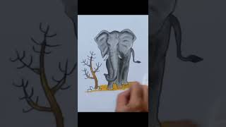 MENGGAMBAR & MEWARNAI GAJAH. HOW TO DRAW AND COLOR AN ELEPHANT