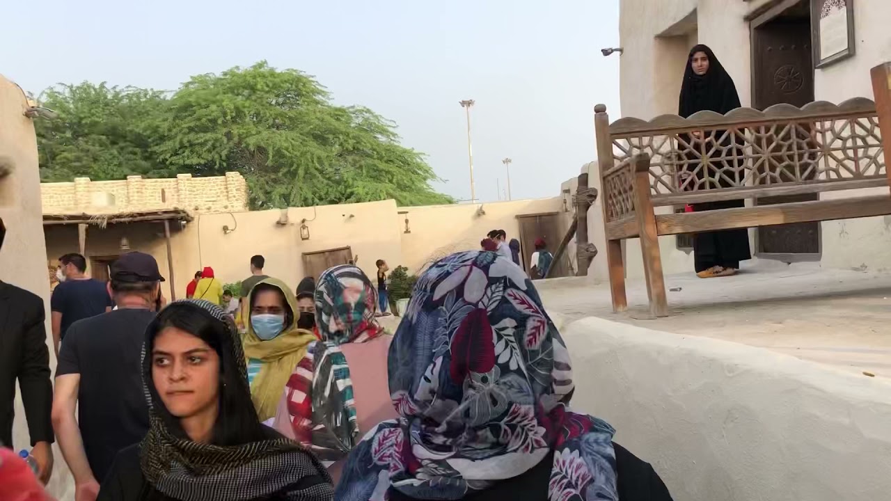 Kish Day Festival 2021. I saw the oldest Tree which seed is from India