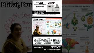 Class 12 Biology | plant reproduction | learn anytime from anywhere | #class12biology #biology