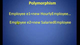 ploymorphism.mp4