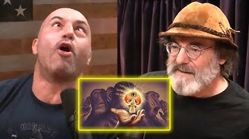 Paul Stamets Explains the Stoned Ape Theory   Joe Rogan Experience