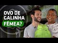 O homem mais engraçado de Sergipe! Conheça Sapo e sua Sapolândia, em Indiaroba - EP. 06 de 07