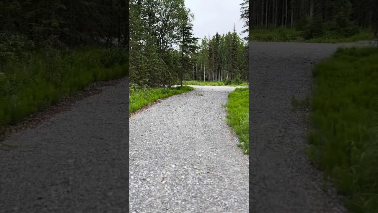 KEE’s Tern Way, Kenai, AK 