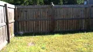 200 Pinegrove Court Jacksonville NC 28546 200 Pinegrove Court Jacksonville NC 28546