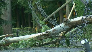 Some NJ residents could be without power for nearly a week after Isaias