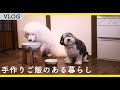 犬の手作りご飯がある暮らし|最後にお知らせあり
