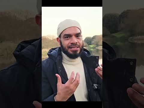 أهمية الالتزام بمذهب فقهي المذاهب الأربعة الدليل