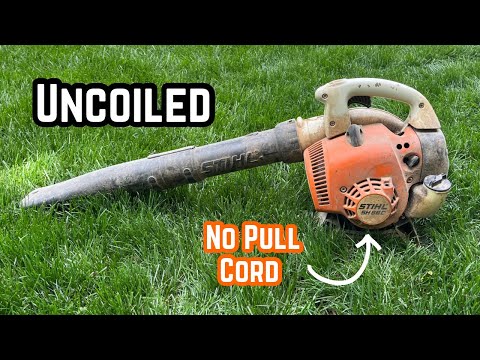 Stihl SH56C Starter