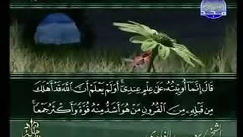 سورة القصص  من الآية 78 الى الآية 88