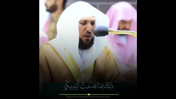 القارئ الشيخ د.#ماهر_المعيقلي_سورة_آل_عمران أكتب شئ تؤجر عليه