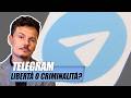 Telegram: baluardo di libertà o hub di criminali?