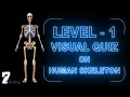 Human Skeletal System Quiz