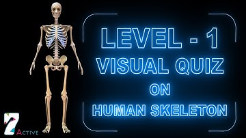 Visual Quiz on Human Skeleton (Level - 1)