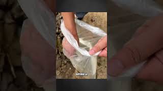 Trik unik Mencari kunci di air keru #faktaunik #faktamenarik #trikunik #carasimple #shots on